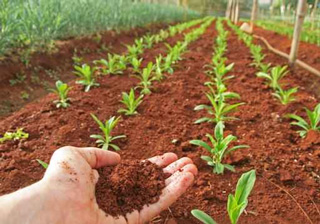 MESSINA, ORDINE AGRONOMI: SALVO NUOVO PRESIDENTE