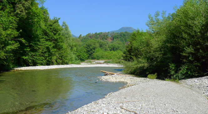 REGIONE: MUSUMECI, AL VIA MANUTENZIONE DI FIUMI E TORRENTI