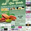 BROLO – DOMANI APPUNTAMENTO CON LA DODICESIMA EDIZIONE DELLA FESTA DELL’ORO VERDE